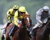 sport news Robin Goodfellow's racing tips: Best bets for Tuesday, June 20 trends now