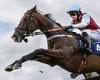 sport news Robin Goodfellow's racing tips: Best bets for Thursday, July 20 trends now
