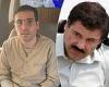 El Chapo's three sons - who remain in control of the Sinaloa Cartel - face ... trends now
