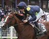 sport news Robin Goodfellow's racing tips: Best bets for Saturday, September 23 trends now