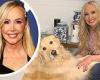 Shannon Beador 'is being investigated by animal control' after driving drunk ... trends now