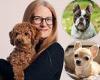 EXCLUSIVE: I'm a professional dog trainer. These are the six breeds most likely ... trends now