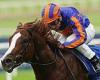 sport news Robin Goodfellow's racing tips: Best bets for Monday, September 25 trends now