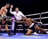 'I'm born for this': Jai Opetaia defends cruiserweight titles with emphatic ...