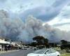 Bushfire destroys houses on NSW south coast as blazes burn across state trends now