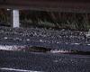 Frankston Freeway pothole: 25 drivers left with flat tyres in Seaford trends now