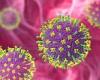 Deaths from four types of killer viruses lurking in animals will soar 12-fold ... trends now