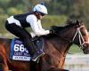 sport news Robin Goodfellow's racing tips: Best bets for Friday, November 3 trends now