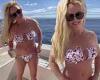 Britney Spears confidently shows off her toned frame in a patterned bikini on a ... trends now