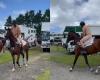 'A bit of fun': Olympic showjumping champion Shane Rose shocked after being ...