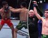 sport news Aussie UFC star Steve Erceg secures biggest win of his career with brutal ... trends now