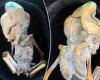 Mysterious fetus with ten ribs found in Colombia could be 'alien' or 'tiny ... trends now