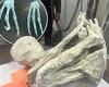 Aliens or hoax? Filmmakers say three-fingered 'mummified humanoids' found in ... trends now