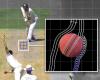 'The whole mystery was revealed': The science of what makes a cricket ball ...