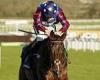 sport news ED CHAMBERLIN: My five wishes for the Cheltenham Festival... including Paisley ... trends now