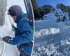 Avalanche forecaster is killed after triggering a snow slip while skiing on ... trends now