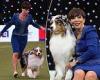 Crufts 2024: Best In Show awarded to three-year-old Viking, an Australian ... trends now