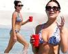 Olivia Culpo soaks up the sun in bikini as she splashes around the ocean with ... trends now