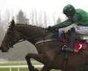 sport news CHELTENHAM FESTIVAL TIPS - DAY TWO: Willie Mullins can complete hat-trick in ... trends now
