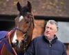 sport news Paul Nicholls shares his thoughts on Novices' Chase prospect Stay Away Fay and ... trends now