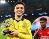 sport news Borussia Dortmund fans rejoice 'this is the Jadon Sancho we all know' after the ... trends now