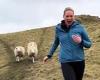 Run for ewe life! Hilarious moment flock of sheep chase woman down a hill trends now