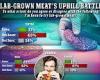 Americans turn their noses up at lab-grown meat: voters overwhelmingly reject ... trends now