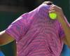 'Bee invasion' suspends play for almost two hours in Alcaraz-Zverev ...