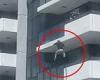 Gold Coast balcony jump: Heartstopping moment man leaps off a five-storey ... trends now