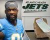 sport news Jets fan tries to tempt Mike Williams to sign by sending a sandwich to the ... trends now