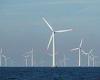 Wind farm firms face investigation over claims they overcharged consumers by ... trends now