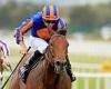 sport news Ryan Moore on Auguste Rodin and his other five rides ahead of Dubai's Sheema ... trends now