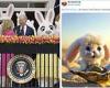 Did you say 'oyster' bunnies, Joe? Biden, 81, is mocked for tripping over his ... trends now