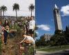 UC Berkeley accused of 'systemic racism' after banning white people from ... trends now