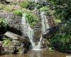 Isabella Falls, Cairns: Man, 27, falls to his death at popular waterfall ... trends now