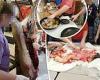 Missouri high school teaches kids how to cull, butcher and cook animal ... trends now