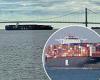 Container ship APL Qingdao loses power and slows to a halt near NYC's ... trends now