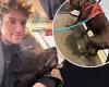 Radio 1 host Greg James is left mortified after dog Barney wees on a train - ... trends now