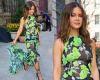 Maren Morris displays her curves in sheer floral dress as she steps out in NYC ... trends now