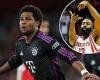 sport news Serge Gnabry's celebration explained - after the Bayern Munich winger showed no ... trends now