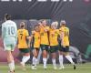 Pair of long-range strikes give injury-hit Matildas 2-0 win over Mexico in Texas