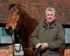 sport news Paul Nicholls shares his thoughts on his six runners on the first day of the ... trends now
