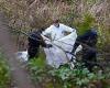 Bin collections suspended as police step up murder probe after headless torso ... trends now