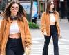 Emily Ratajkowski flashes her fabulous abs in a white crop top as she goes for ... trends now