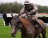 sport news ED CHAMBERLIN: I have been trying to crack the Grand National code since the ... trends now