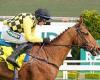 sport news Robin Goodfellow's racing tips: Best bets for Saturday, April 13 trends now