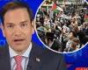 Sen. Marco Rubio accuses Biden of trying to appeal to 'anti-semites' by ... trends now