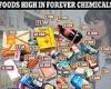 Graphic reveals the 'forever chemicals' lurking in everyday foods that are ... trends now