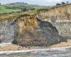 Family run for their lives as terrifying rockfall on Dorset beach sends ... trends now