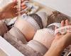 Bras should be exempt from VAT because they are essential for women's health, ... trends now
